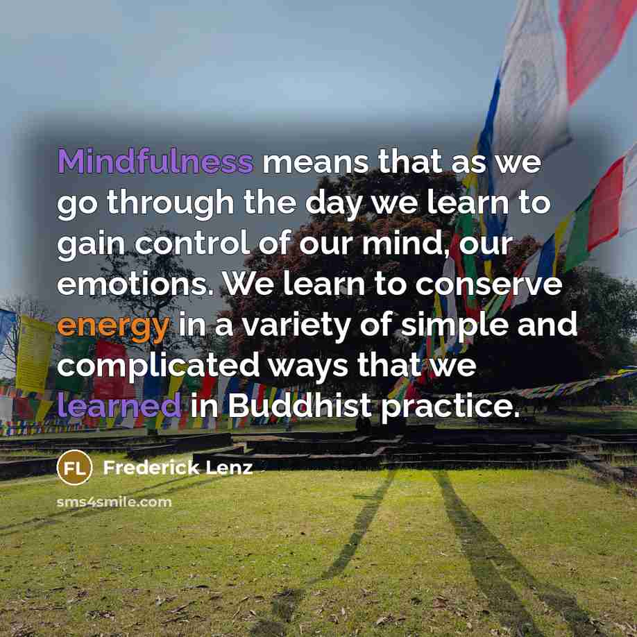 “Mindfulness means that as we go through the day we learn to gain control of our mind, our emotions. We learn to conserve energy in a variety of simple and complicated ways that we learned in Buddhist practice.” quote by Frederick Lenz