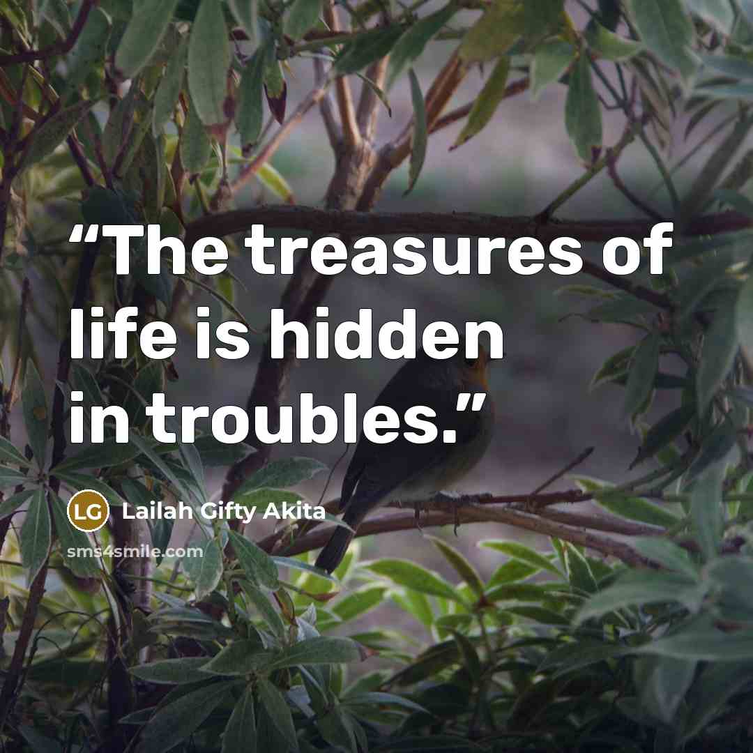 “The treasures of life is hidden in troubles.” quote by Lailah Gifty Akita