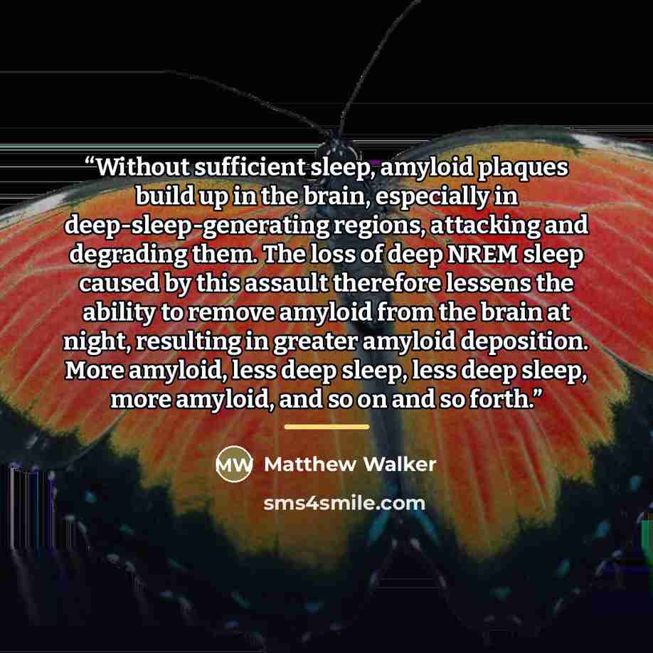 “Without sufficient sleep, amyloid plaques build up in the brain, especially in deep-sleep-generating regions, attacking and degrading them. The loss of deep NREM sleep caused by this assault therefore lessens the ability to remove amyloid from the brain at night, resulting in greater amyloid…” quote by Matthew Walker