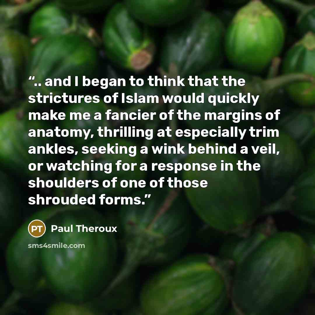 “.. and I began to think that the strictures of Islam would quickly make me a fancier of the margins of anatomy, thrilling at especially trim ankles, seeking a wink behind a veil, or watching for a response in the shoulders of one of those shrouded forms.” quote by Paul Theroux