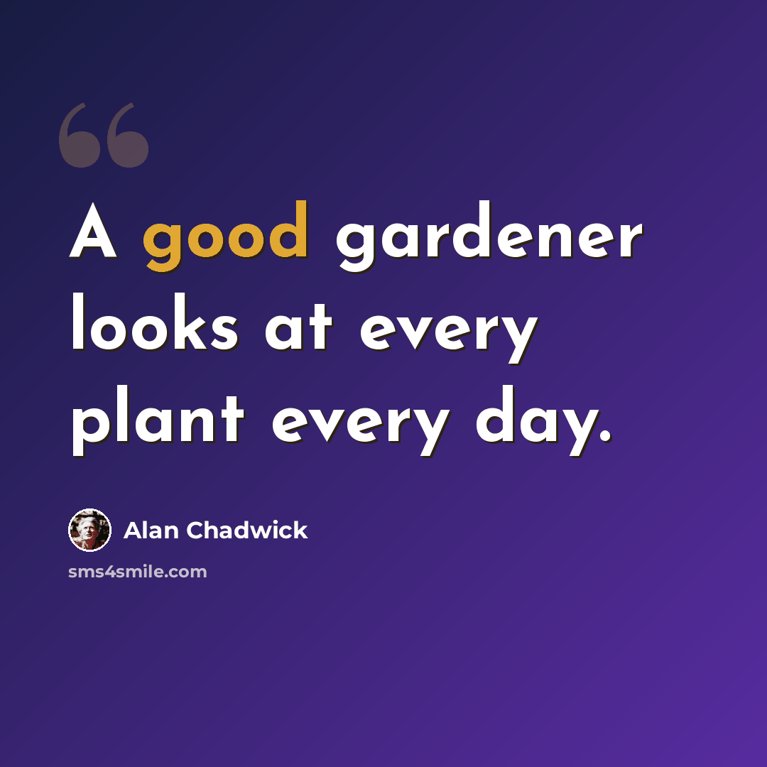 “A good gardener looks at every plant every day.” quote by Alan Chadwick