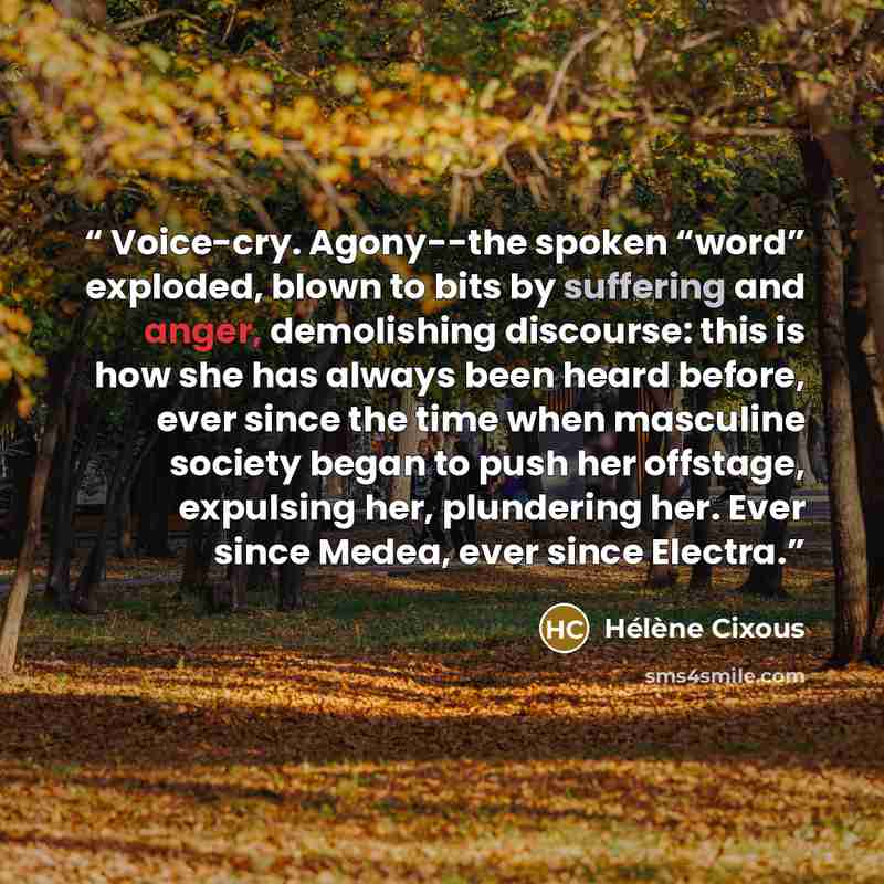 “Voice-cry. Agony--the spoken “word” exploded, blown to bits by suffering and anger, demolishing discourse: this is how she has always been heard before, ever since the time when masculine society began to push her offstage, expulsing her, plundering her. Ever since Medea, ever since Electra.” quote by Hélène Cixous