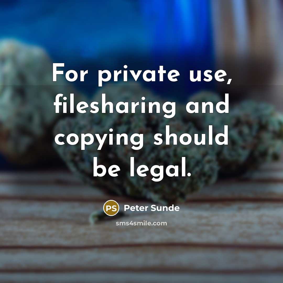 “For private use, filesharing and copying should be legal.” quote by Peter Sunde