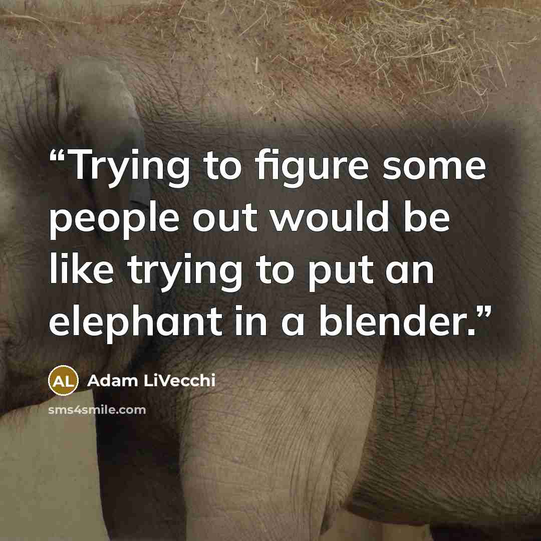 “Trying to figure some people out would be like trying to put an elephant in a blender.” quote by Adam LiVecchi