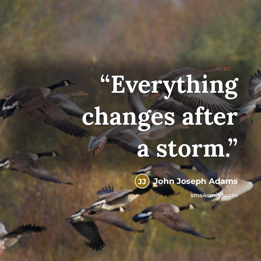 “Everything changes after a storm.” quote by John Joseph Adams