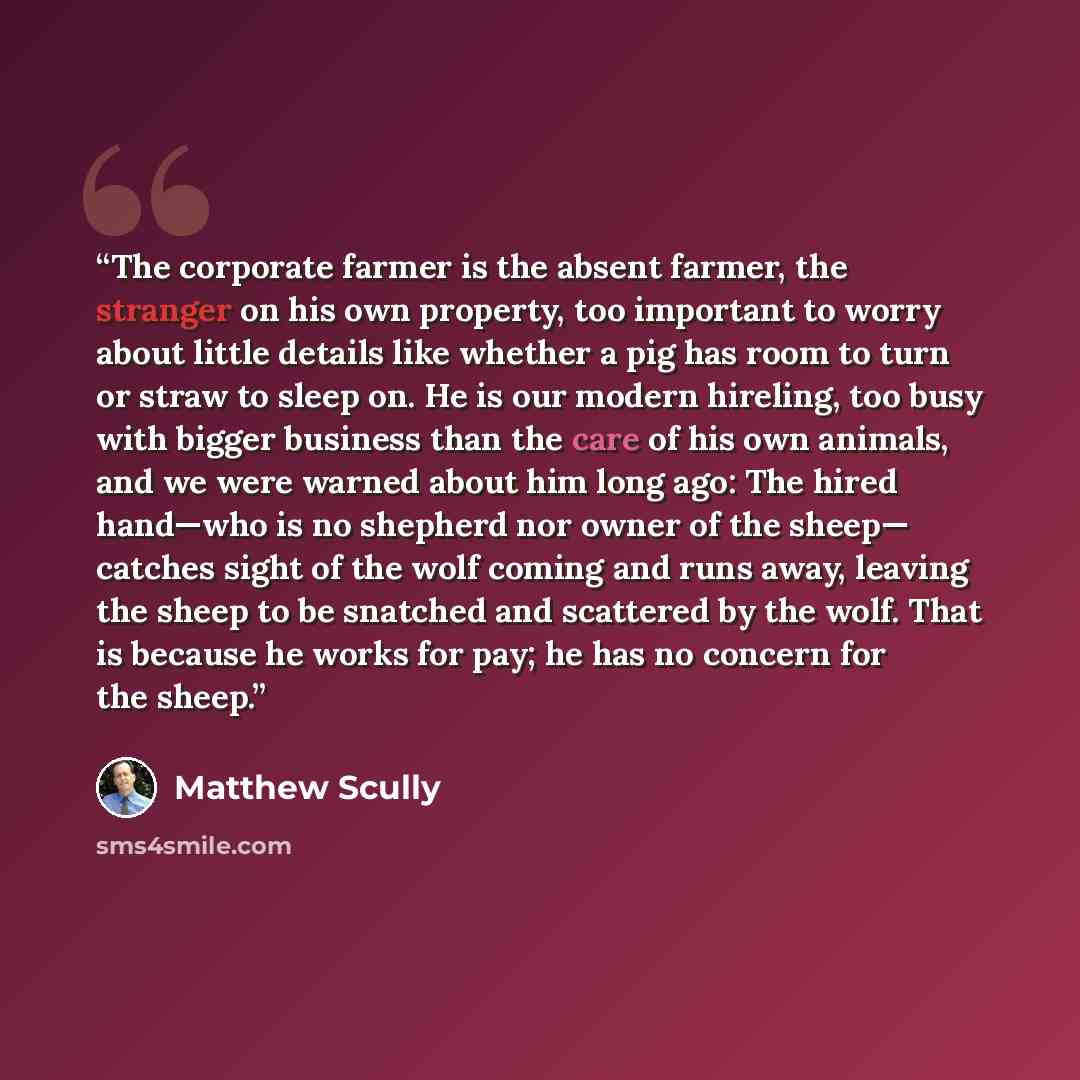 “The corporate farmer is the absent farmer, the stranger on his own property, too important to worry about little details like whether a pig has room to turn or straw to sleep on. He is our modern hireling, too busy with bigger business than the care of his own animals, and we were warned about him…” quote by Matthew Scully