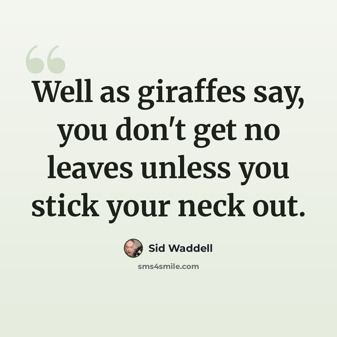 “Well as giraffes say, you don't get no leaves unless you stick your neck out.” quote by Sid Waddell