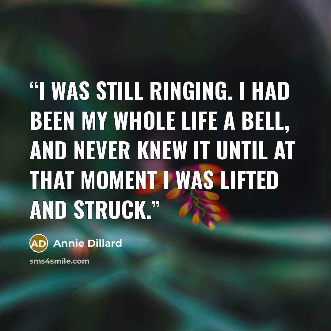 “I was still ringing. I had been my whole life a bell, and never knew it until at that moment I was lifted and struck.” quote by Annie Dillard
