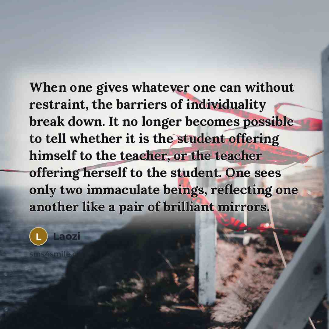 “When one gives whatever one can without restraint, the barriers of individuality break down. It no longer becomes possible to tell whether it is the student offering himself to the teacher, or the teacher offering herself to the student. One sees only two immaculate beings, reflecting one another…” quote by Laozi