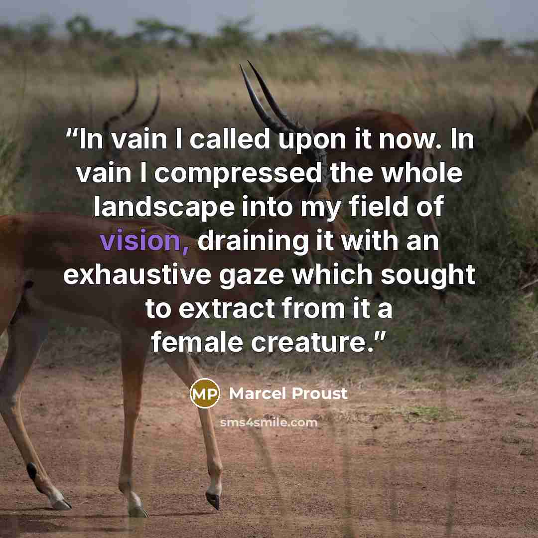 “In vain I called upon it now. In vain I compressed the whole landscape into my field of vision, draining it with an exhaustive gaze which sought to extract from it a female creature.” quote by Marcel Proust
