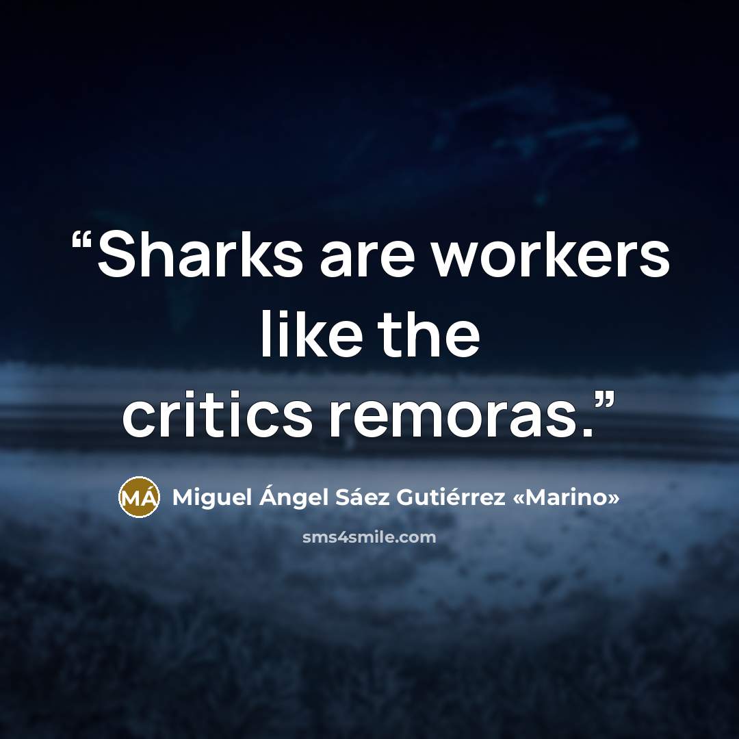 “Sharks are workers like the critics remoras.” quote by Miguel Ángel Sáez Gutiérrez «Marino»