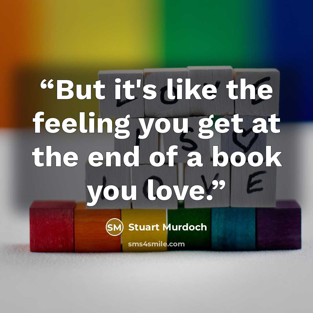 “But it's like the feeling you get at the end of a book you love.” quote by Stuart Murdoch
