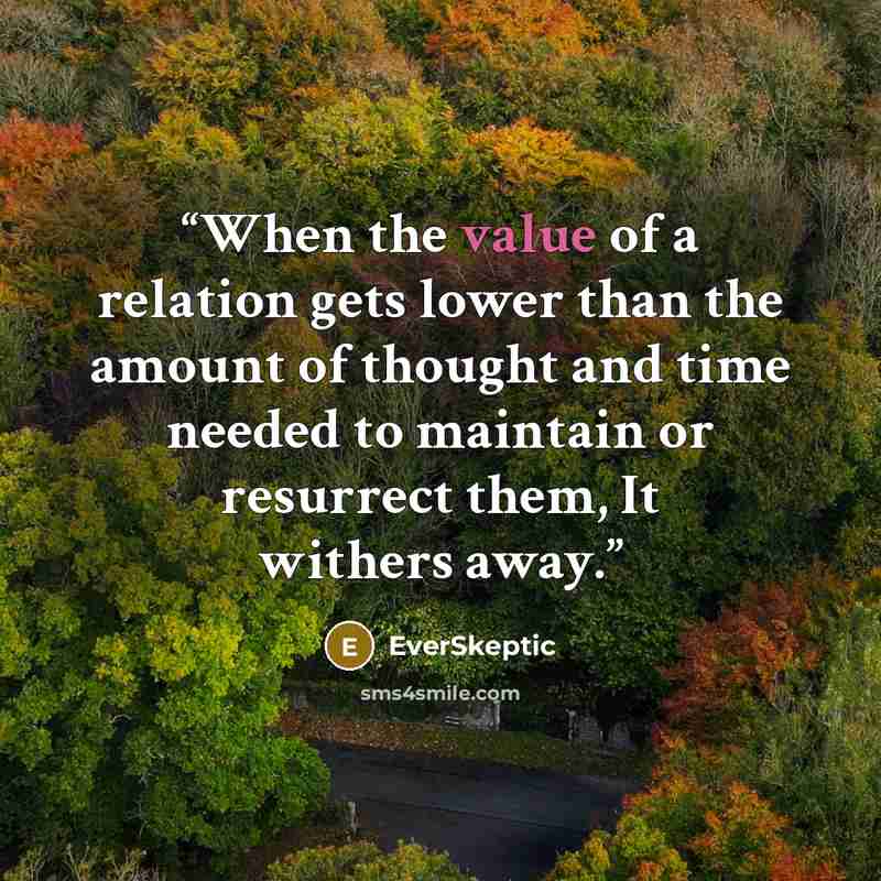 “When the value of a relation gets lower than the amount of thought and time needed to maintain or resurrect them, It withers away.” quote by EverSkeptic