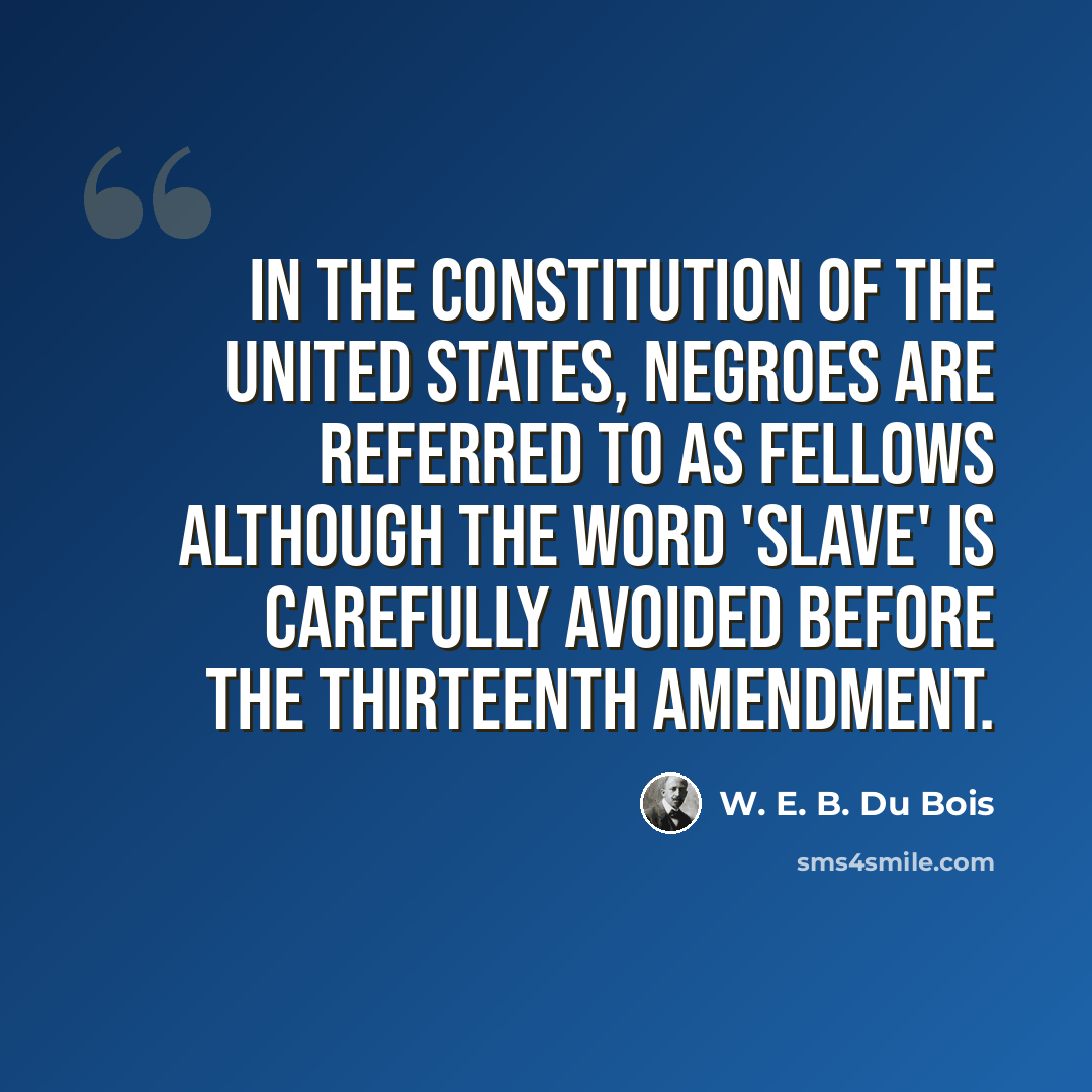 “In the Constitution of the United States, Negroes are referred to as fellows although the word 'slave' is carefully avoided before the thirteenth amendment.” quote by W. E. B. Du Bois
