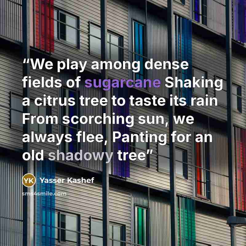 “We play among dense fields of sugarcane Shaking a citrus tree to taste its rain From scorching sun, we always flee, Panting for an old shadowy tree” quote by Yasser Kashef