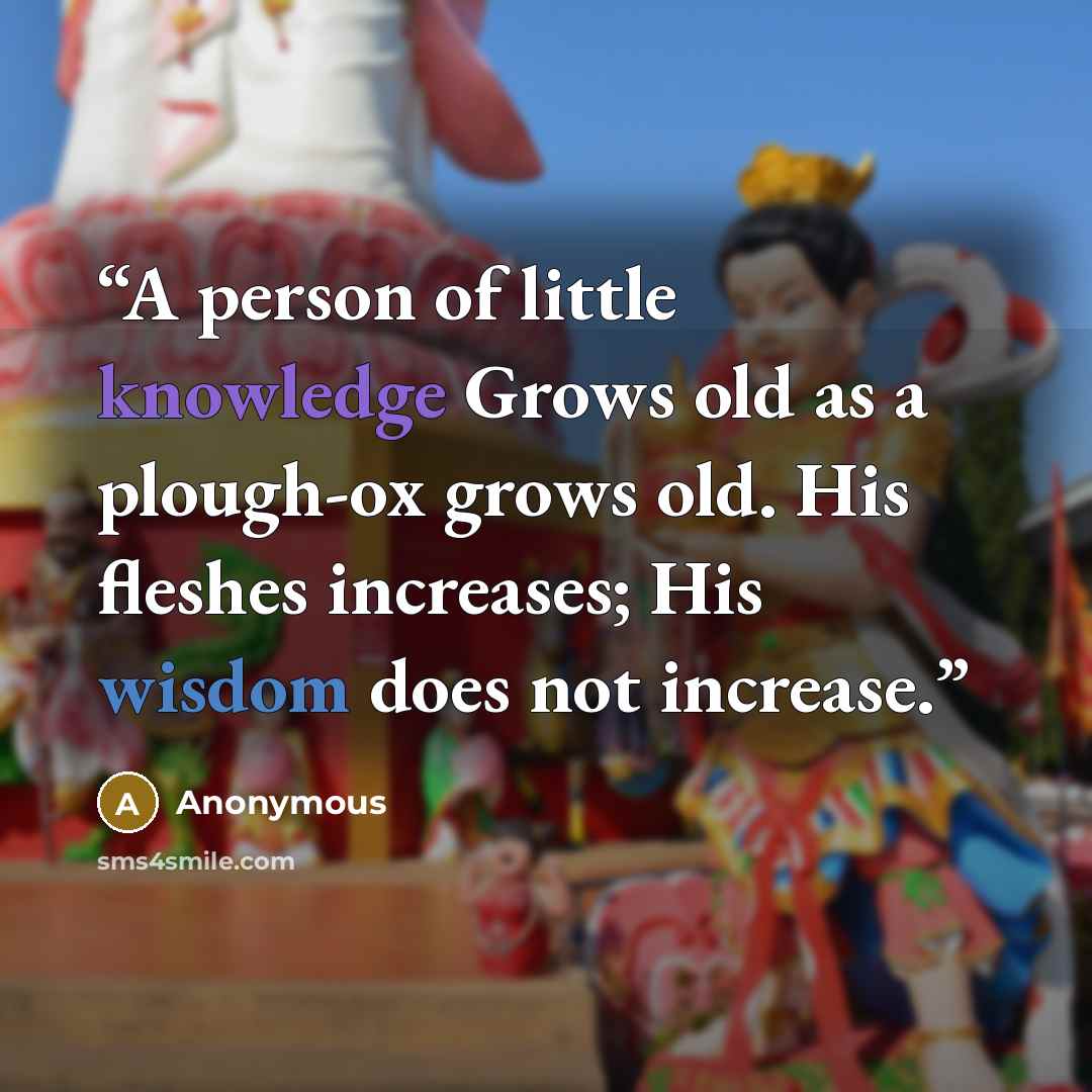 “A person of little knowledge Grows old as a plough-ox grows old. His fleshes increases; His wisdom does not increase.” quote by Anonymous