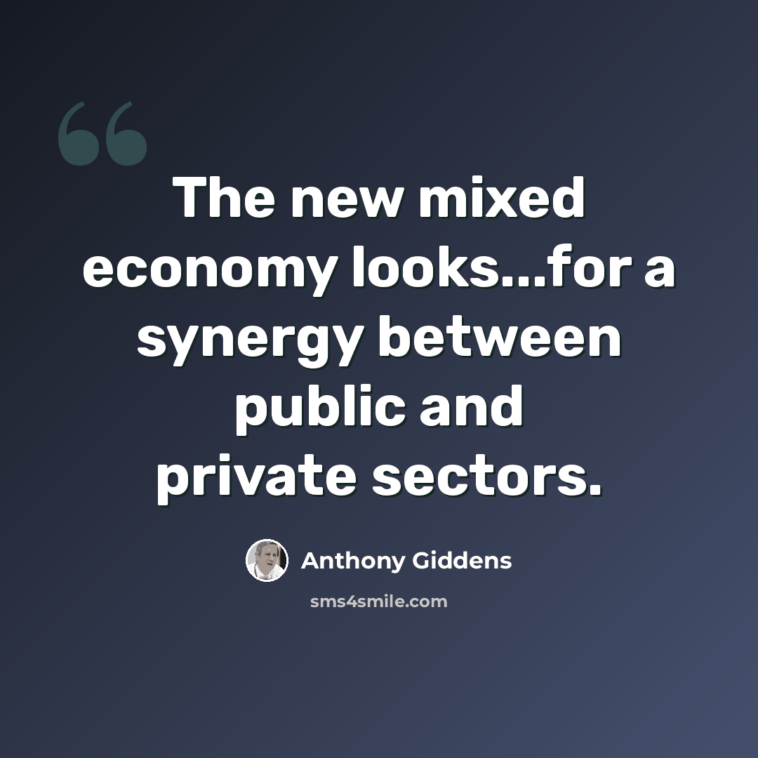 “The new mixed economy looks...for a synergy between public and private sectors.” quote by Anthony Giddens