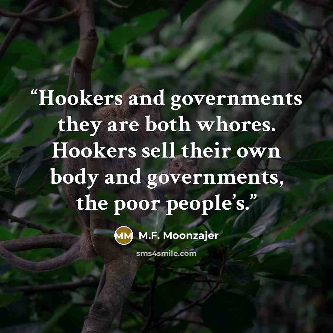 “Hookers and governments they are both whores. Hookers sell their own body and governments, the poor people’s.” quote by M.F. Moonzajer