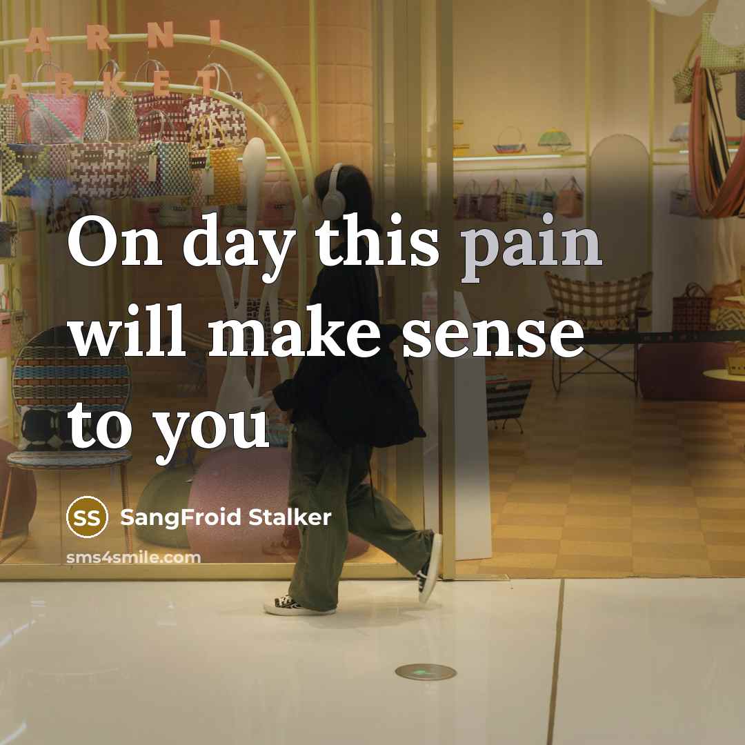 “On day this pain will make sense to you” quote by SangFroid Stalker