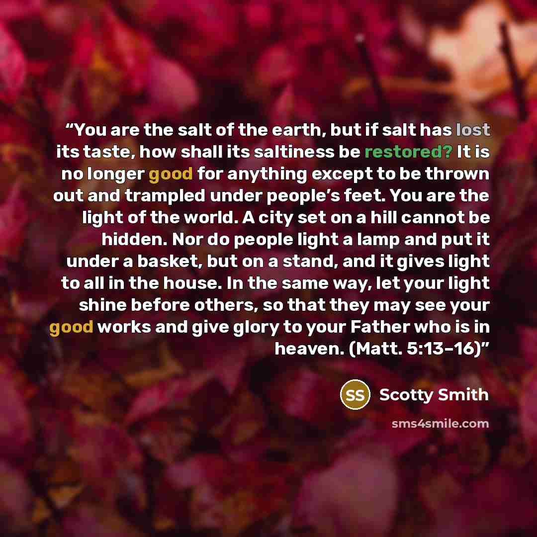 “You are the salt of the earth, but if salt has lost its taste, how shall its saltiness be restored? It is no longer good for anything except to be thrown out and trampled under people’s feet. You are the light of the world. A city set on a hill cannot be hidden. Nor do people light a lamp and put…” quote by Scotty Smith