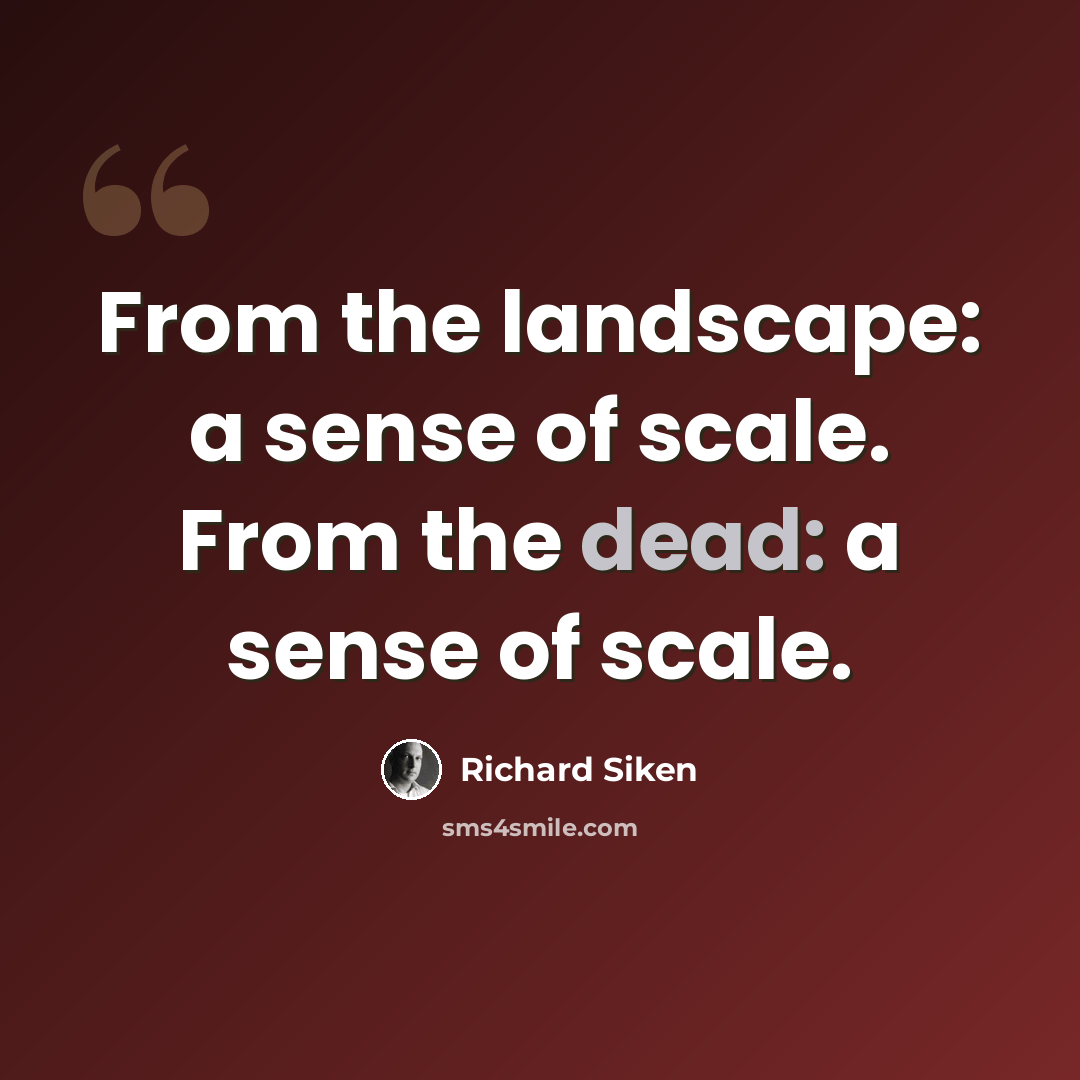 “From the landscape: a sense of scale. From the dead: a sense of scale.” quote by Richard Siken