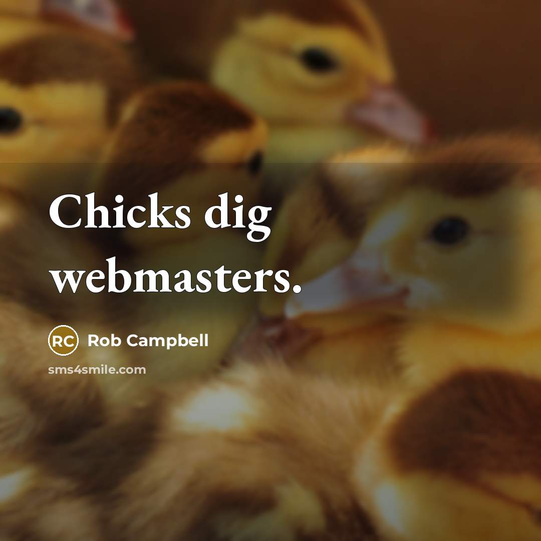 “Chicks dig webmasters.” quote by Rob Campbell
