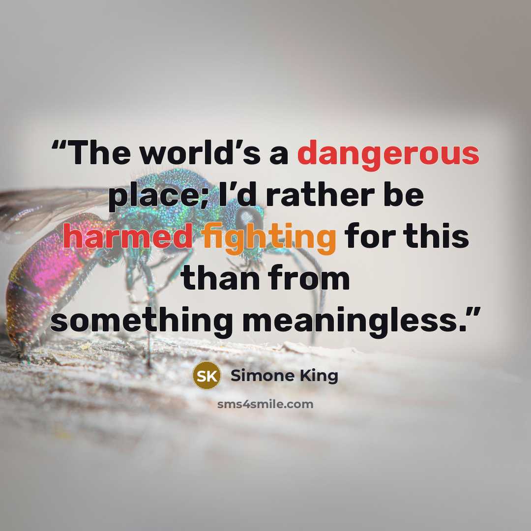 “The world’s a dangerous place; I’d rather be harmed fighting for this than from something meaningless.” quote by Simone King