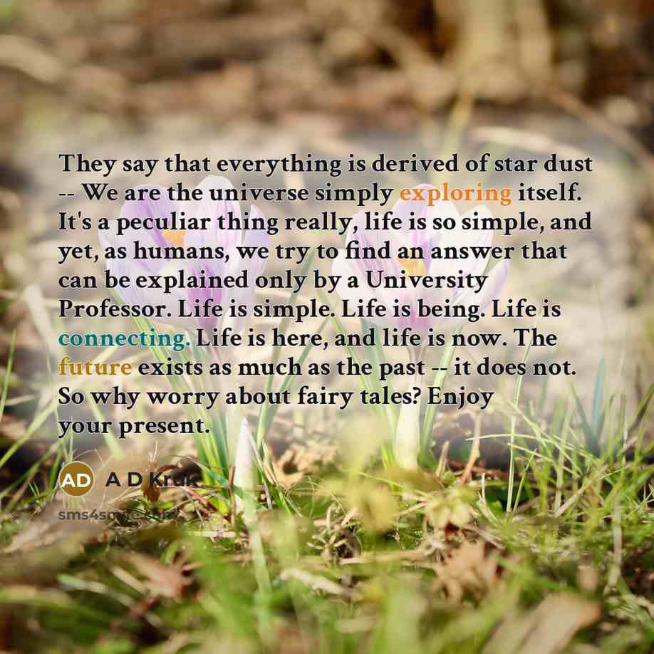 “They say that everything is derived of star dust -- We are the universe simply exploring itself. It's a peculiar thing really, life is so simple, and yet, as humans, we try to find an answer that can be explained only by a University Professor. Life is simple. Life is being. Life is connecting…” quote by A D Kruk