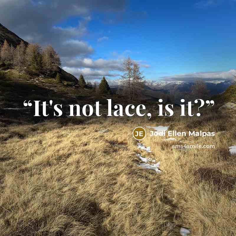 “It's not lace, is it?” quote by Jodi Ellen Malpas