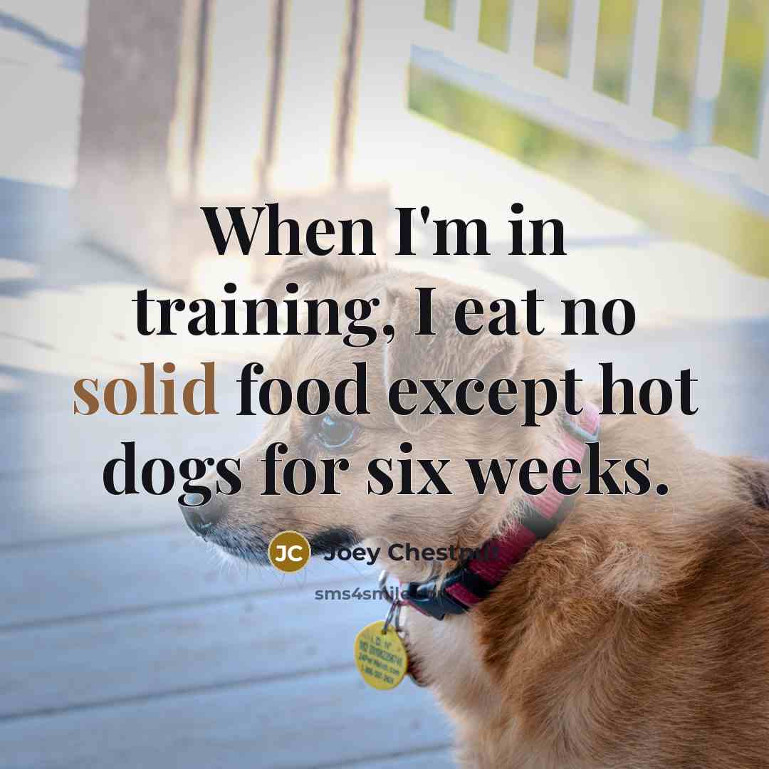 “When I'm in training, I eat no solid food except hot dogs for six weeks.” quote by Joey Chestnut