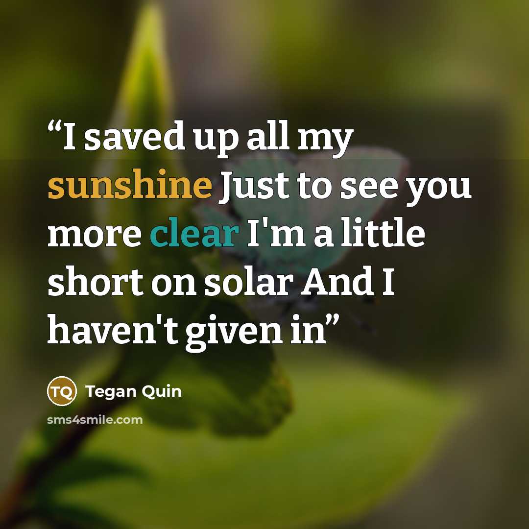 “I saved up all my sunshine Just to see you more clear I'm a little short on solar And I haven't given in” quote by Tegan Quin
