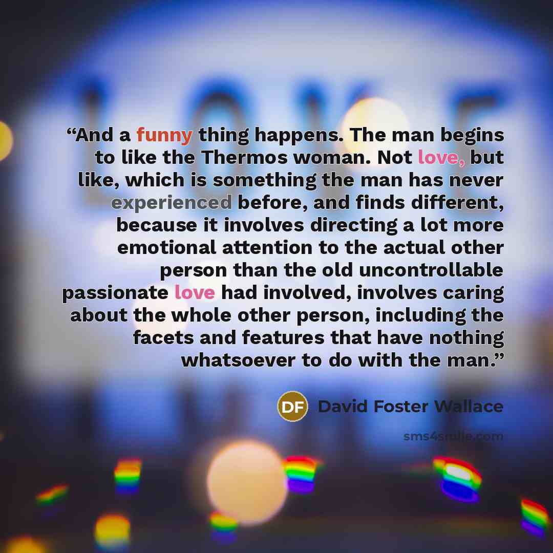 “And a funny thing happens. The man begins to like the Thermos woman. Not love, but like, which is something the man has never experienced before, and finds different, because it involves directing a lot more emotional attention to the actual other person than the old uncontrollable passionate love…” quote by David Foster Wallace