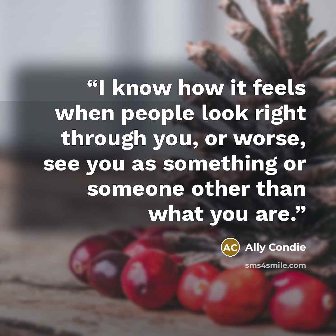 “I know how it feels when people look right through you, or worse, see you as something or someone other than what you are.” quote by Ally Condie