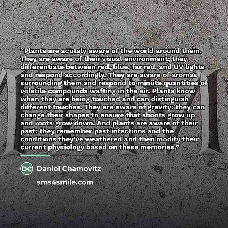 “Plants are acutely aware of the world around them. They are aware of their visual environment; they differentiate between red, blue, far red, and UV lights and respond accordingly. They are aware of aromas surrounding them and respond to minute quantities of volatile compounds wafting in the air…” quote by Daniel Chamovitz