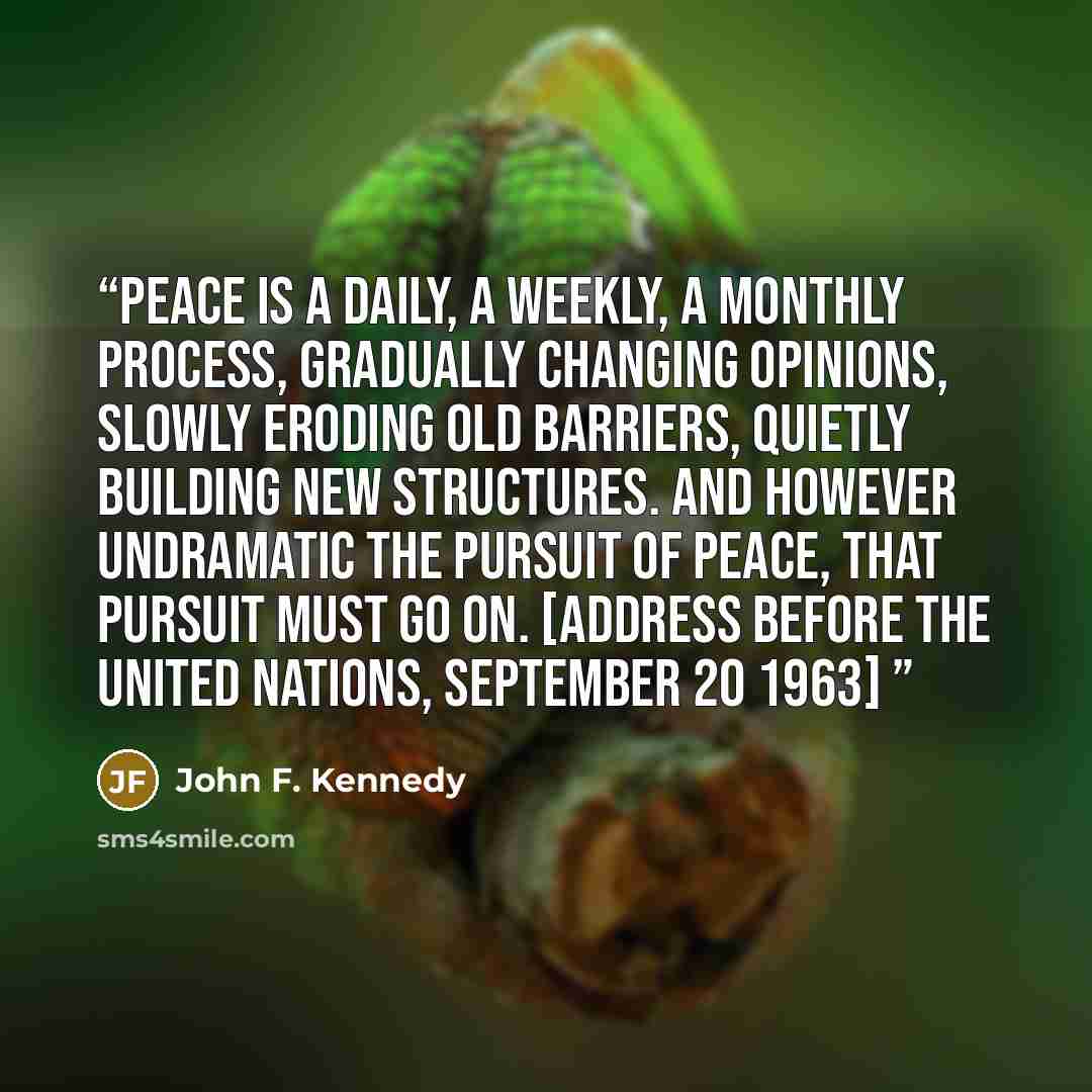 “Peace is a daily, a weekly, a monthly process, gradually changing opinions, slowly eroding old barriers, quietly building new structures. And however undramatic the pursuit of peace, that pursuit must go on. [Address before the United Nations, September 20 1963]” quote by John F. Kennedy