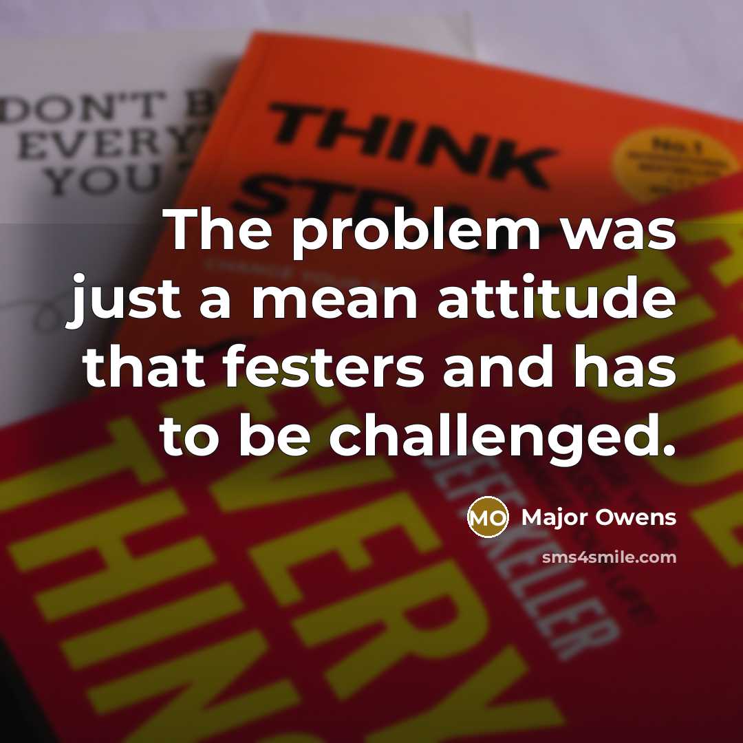 “The problem was just a mean attitude that festers and has to be challenged.” quote by Major Owens