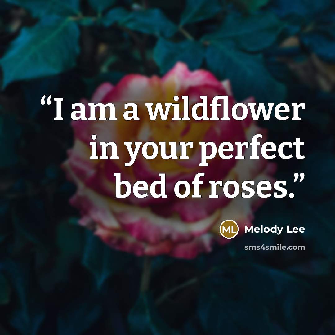 “I am a wildflower in your perfect bed of roses.” quote by Melody Lee