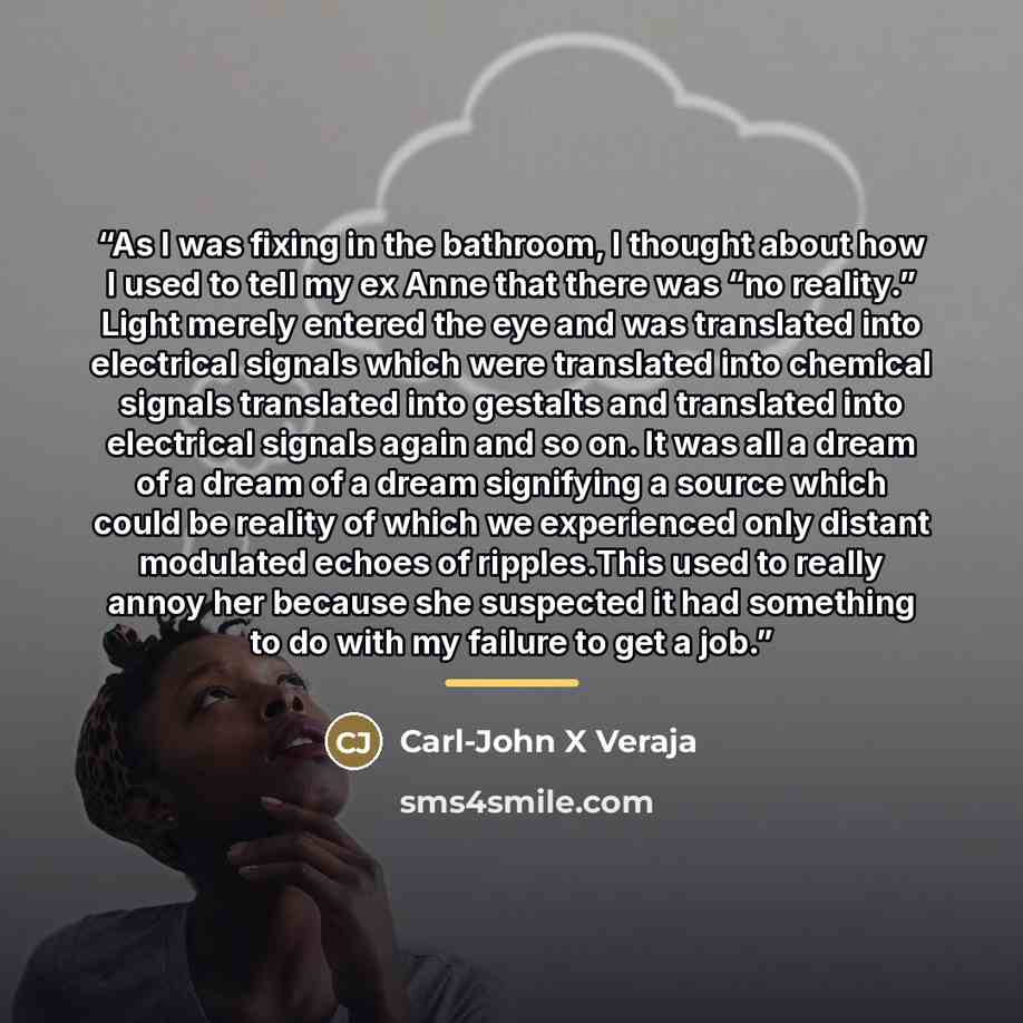 “As I was fixing in the bathroom, I thought about how I used to tell my ex Anne that there was “no reality.” Light merely entered the eye and was translated into electrical signals which were translated into chemical signals translated into gestalts and translated into electrical signals again and…” quote by Carl-John X Veraja