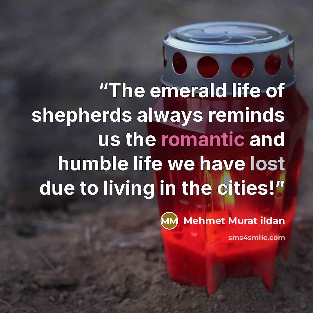 “The emerald life of shepherds always reminds us the romantic and humble life we have lost due to living in the cities!” quote by Mehmet Murat ildan