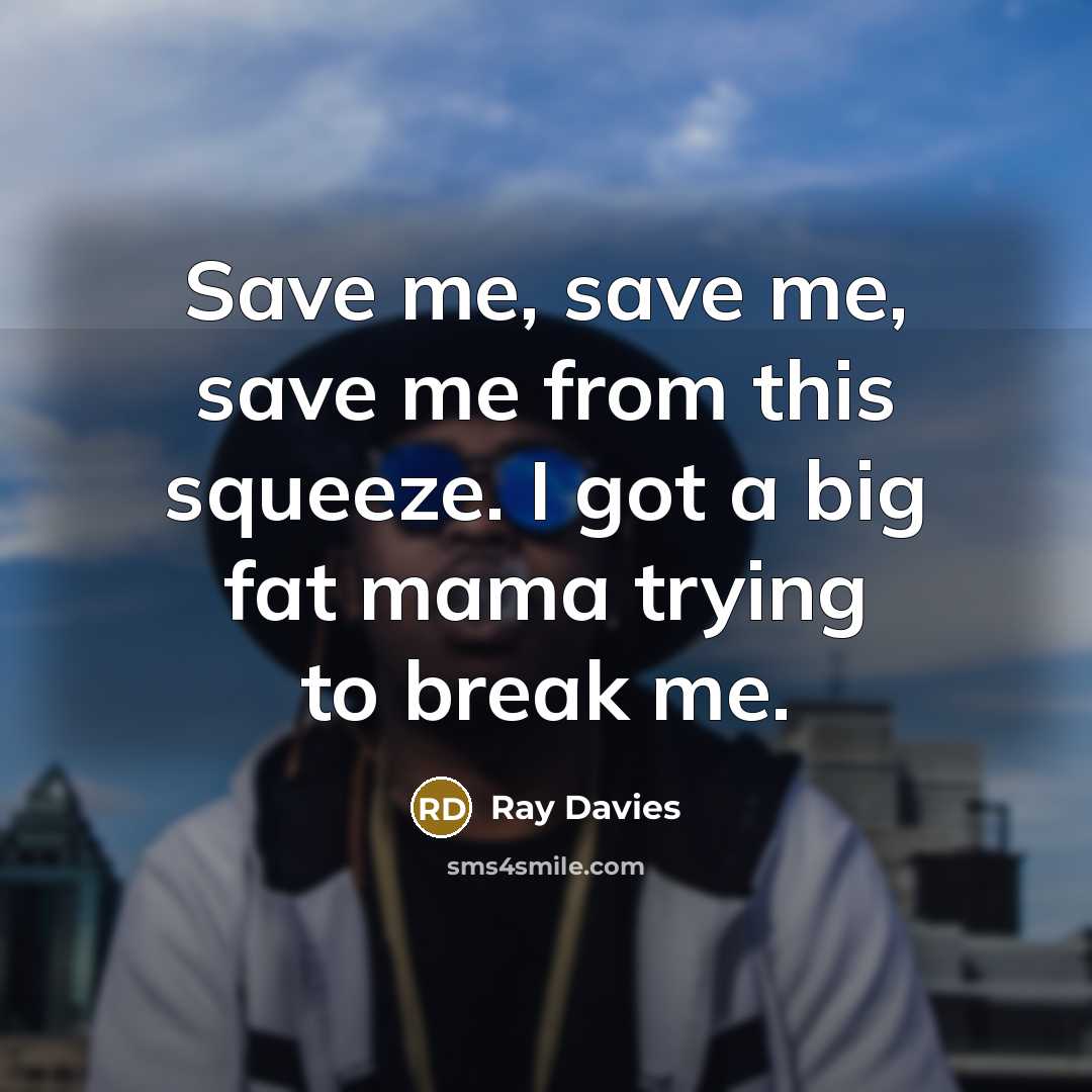 “Save me, save me, save me from this squeeze. I got a big fat mama trying to break me.” quote by Ray Davies