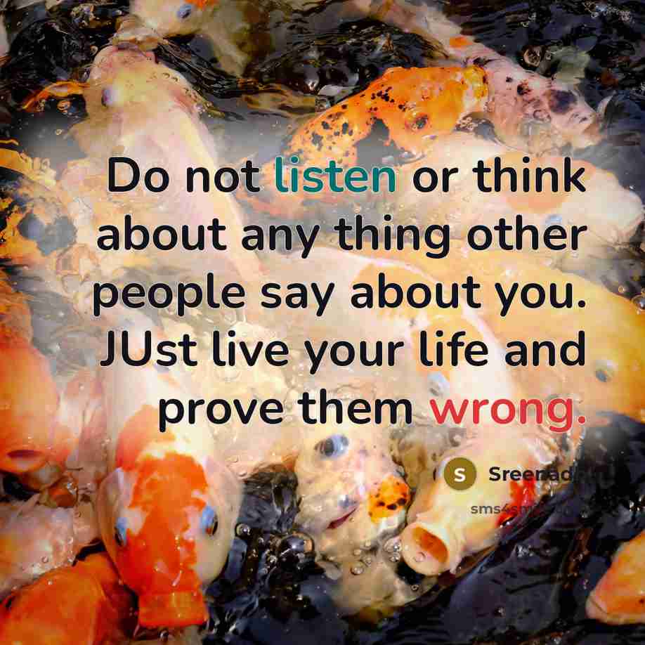 “Do not listen or think about any thing other people say about you. JUst live your life and prove them wrong.” quote by Sreenadh