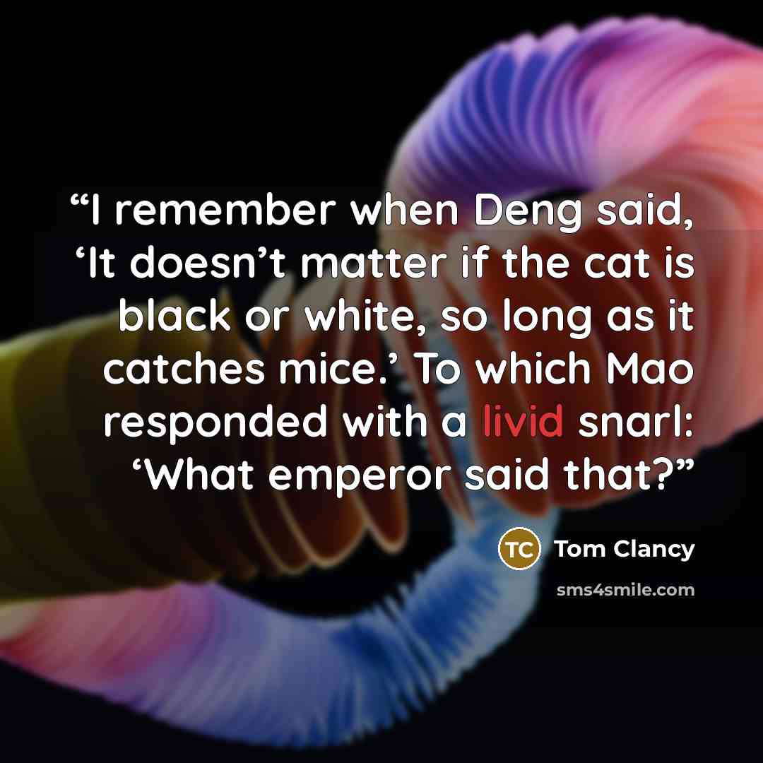 “I remember when Deng said, ‘It doesn’t matter if the cat is black or white, so long as it catches mice.’ To which Mao responded with a livid snarl: ‘What emperor said that?” quote by Tom Clancy