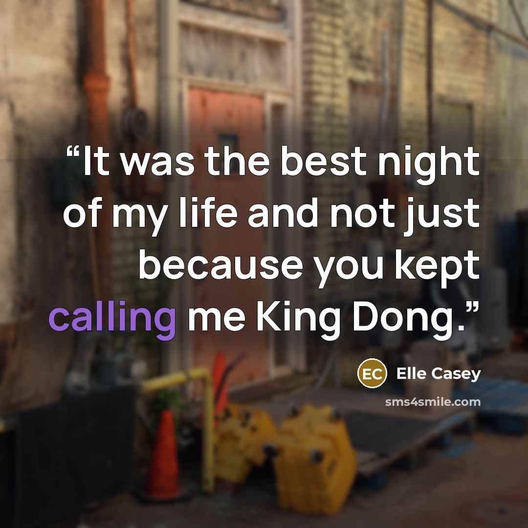 “It was the best night of my life and not just because you kept calling me King Dong.” quote by Elle Casey