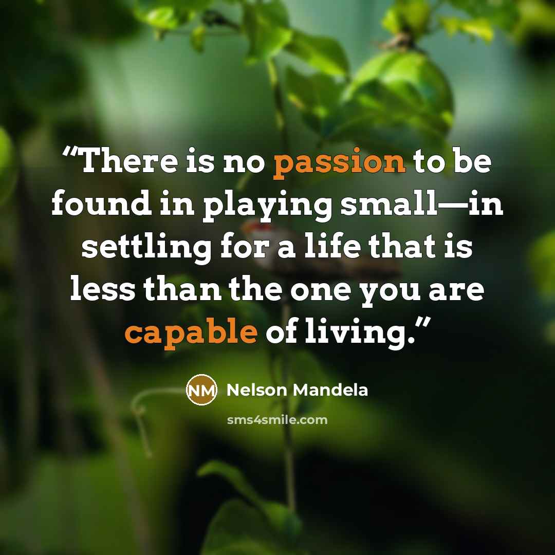 “There is no passion to be found in playing small—in settling for a life that is less than the one you are capable of living.” quote by Nelson Mandela
