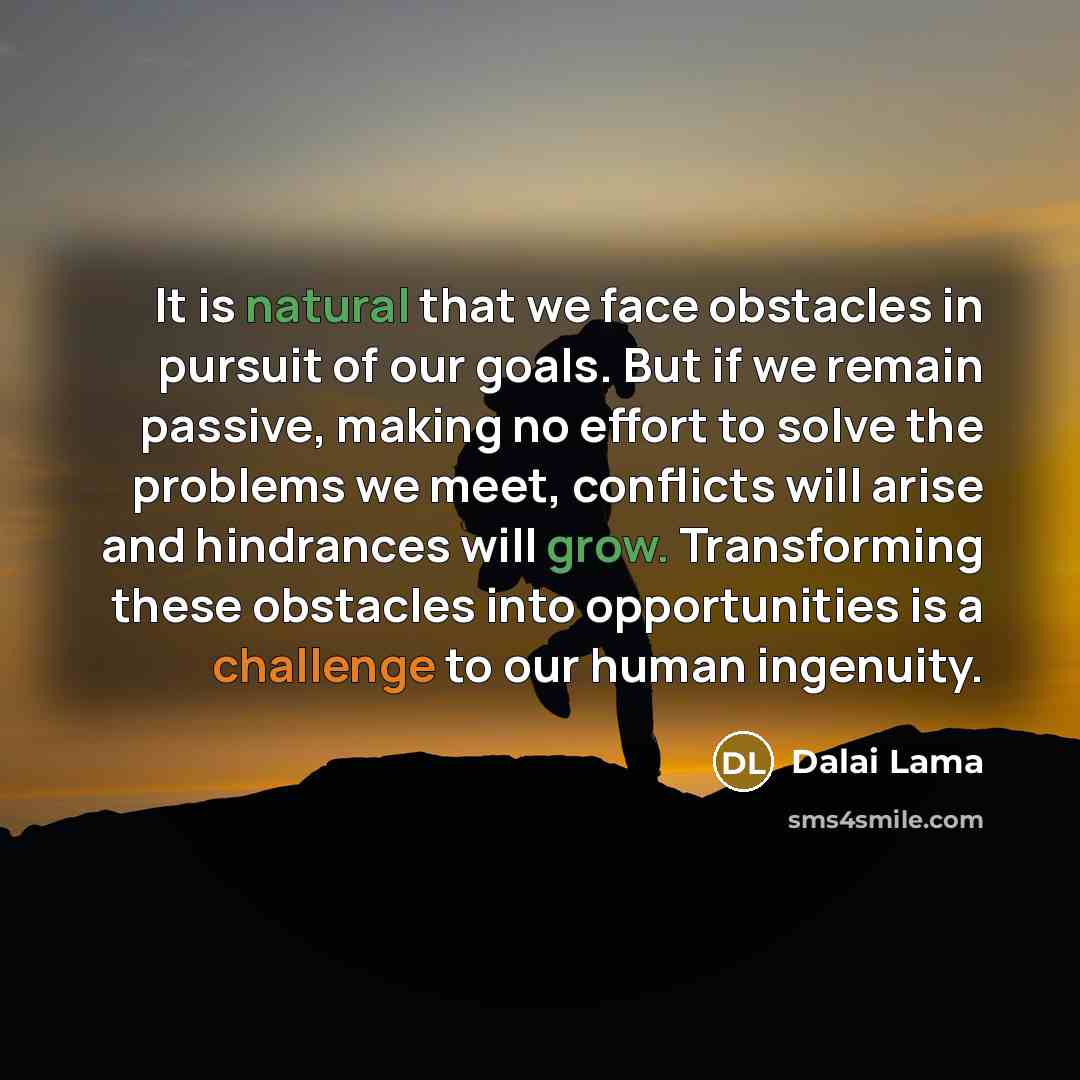 “It is natural that we face obstacles in pursuit of our goals. But if we remain passive, making no effort to solve the problems we meet, conflicts will arise and hindrances will grow. Transforming these obstacles into opportunities is a challenge to our human ingenuity.” quote by Dalai Lama
