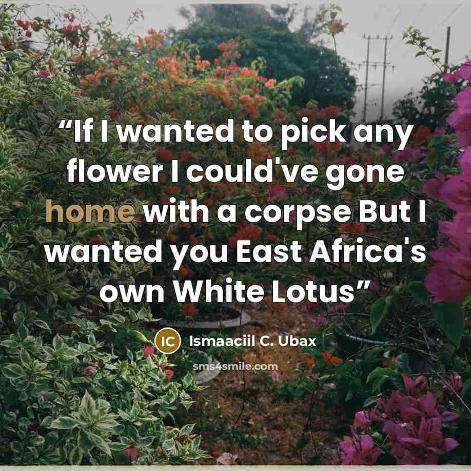 “If I wanted to pick any flower I could've gone home with a corpse But I wanted you East Africa's own White Lotus” quote by Ismaaciil C. Ubax