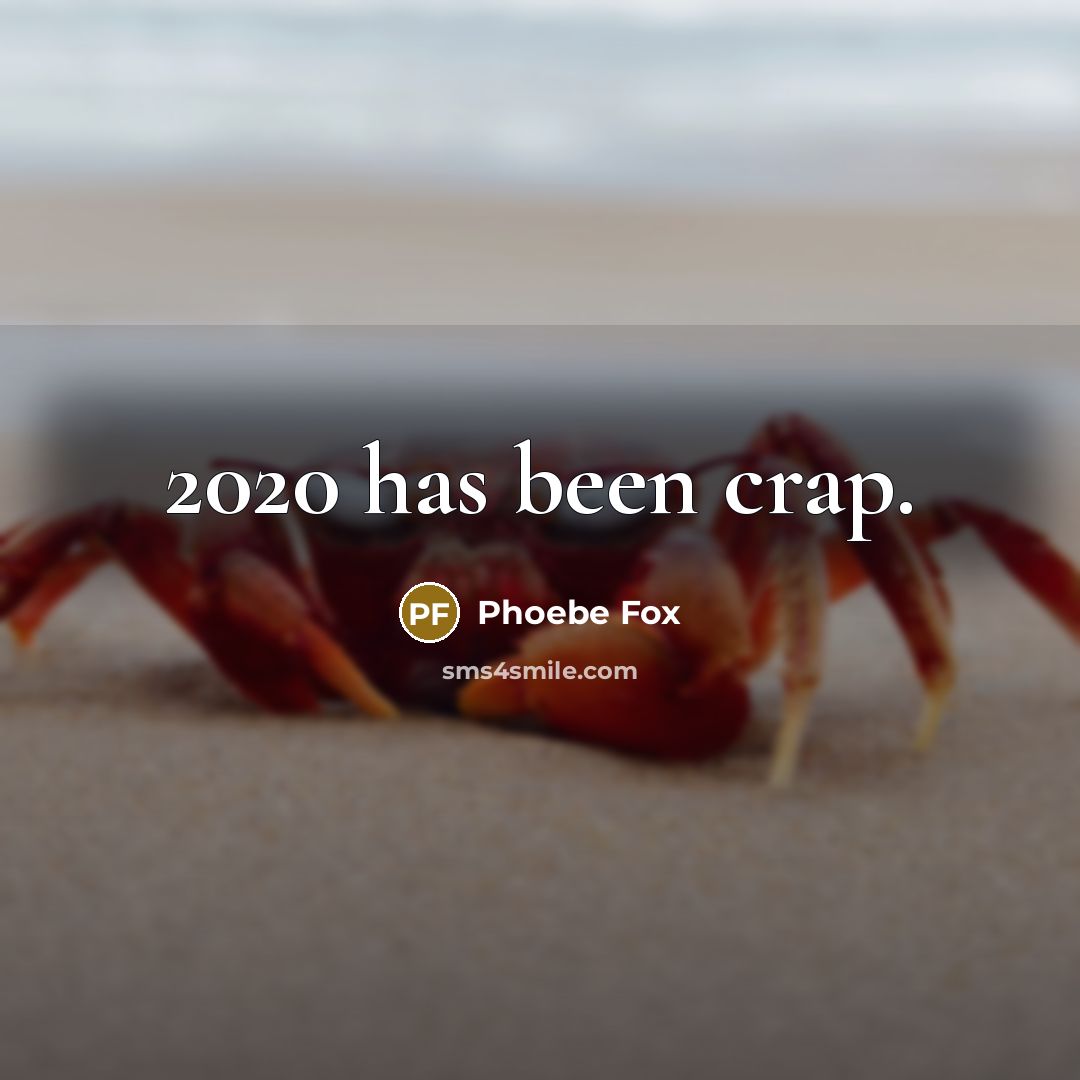 “2020 has been crap.” quote by Phoebe Fox