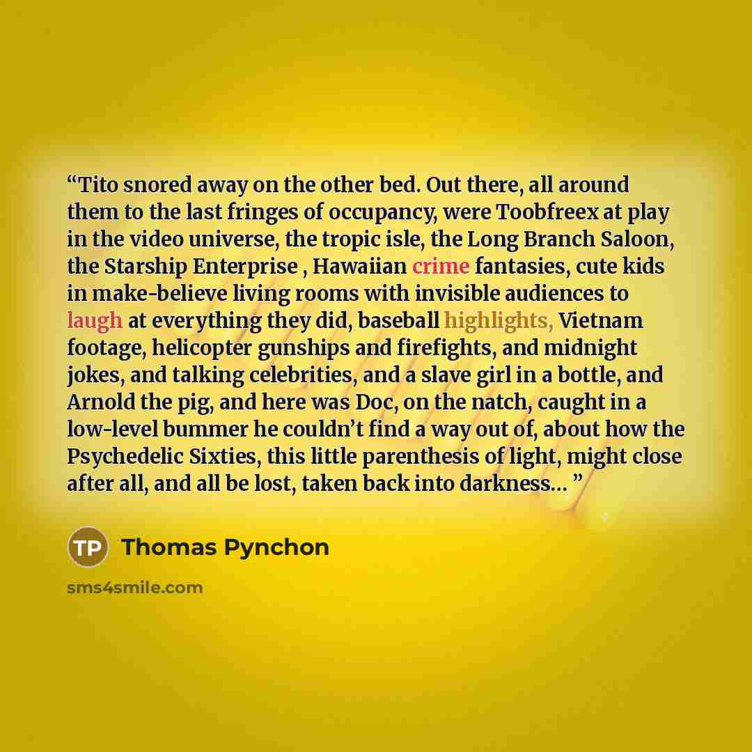“Tito snored away on the other bed. Out there, all around them to the last fringes of occupancy, were Toobfreex at play in the video universe, the tropic isle, the Long Branch Saloon, the Starship Enterprise , Hawaiian crime fantasies, cute kids in make-believe living rooms with invisible audiences…” quote by Thomas Pynchon