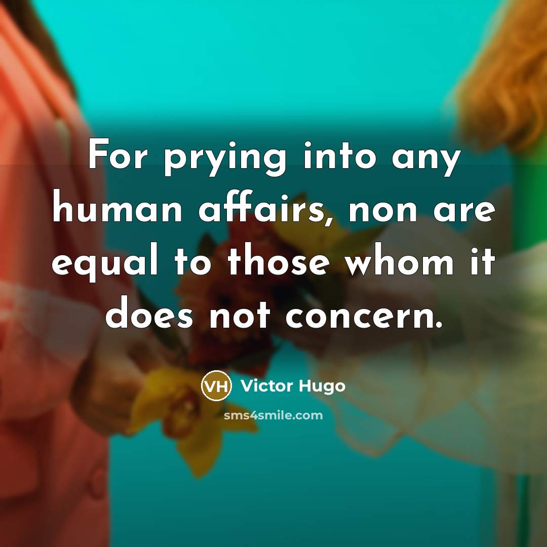 “For prying into any human affairs, non are equal to those whom it does not concern.” quote by Victor Hugo
