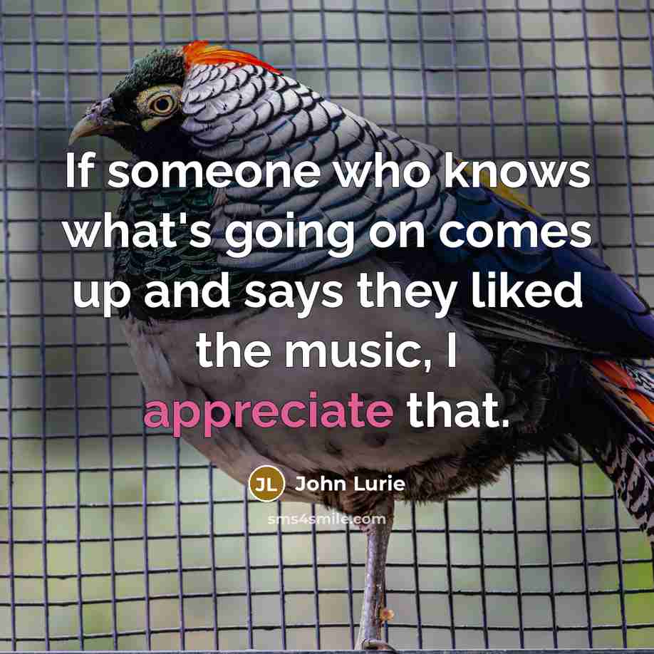 “If someone who knows what's going on comes up and says they liked the music, I appreciate that.” quote by John Lurie